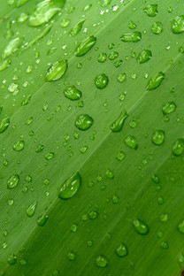 【苹果手机壁纸】高清苹果手机壁纸大全-zol手机壁纸图片