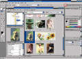 photoshop��������Adobe&reg; Photoshop&reg; cs4