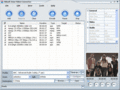 Video Converter(For Miniplayer)
