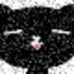 存为