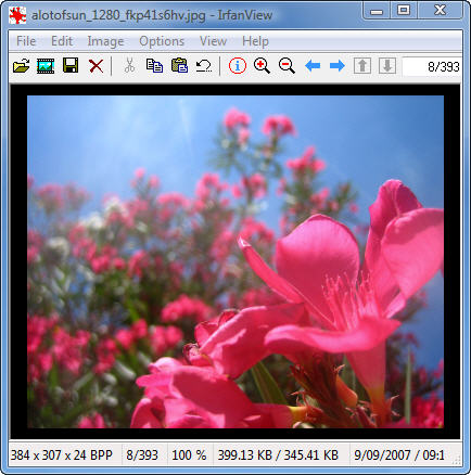 XnView V1.98.6(超强图像查看器) 标准/精简绿色版