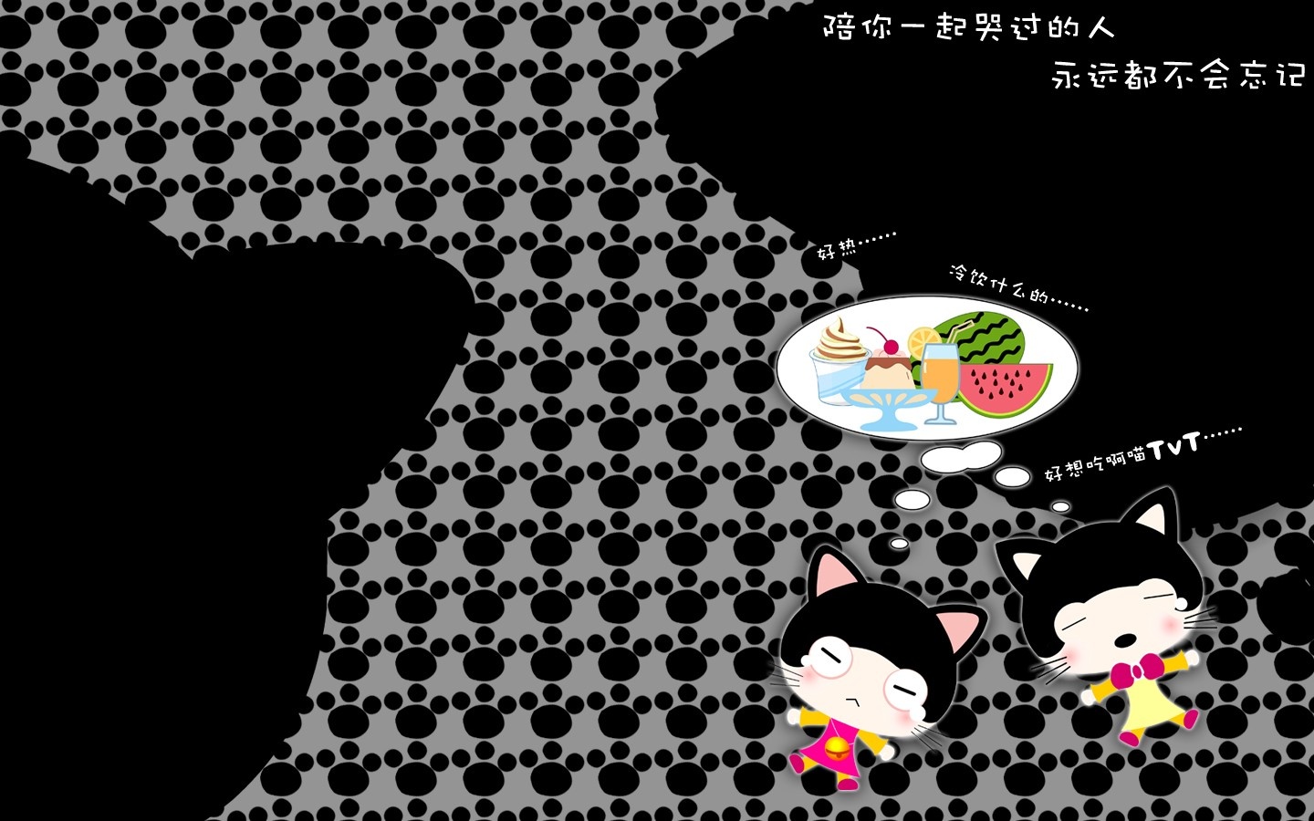 猫咪宝贝签名档卡通壁纸