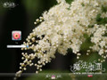 ����XP��win7�������� XP��