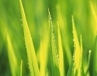 ��ɫ�����۱�ֽ�����壩