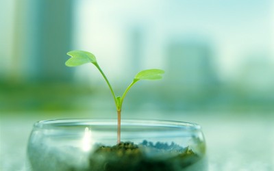  ո�µ����� ��ѿ��Ҷ������ֽ ��03�� 