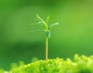  ո�µ����� ��ѿ��Ҷ������ֽ ��03�� 