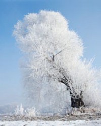  ���ð�İ�ɫ����羰�ֻ���ֽ 