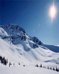  ���ð�İ�ɫ����羰�ֻ���ֽ 