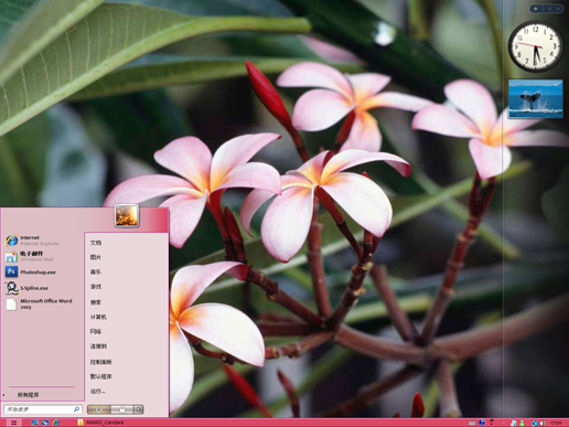 �ۺ�ɫ��԰һ������ VISTA��