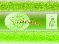 ��ɫ�����Leafear����