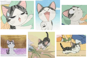 起司猫qq表情包