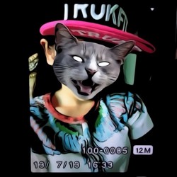 CatWang