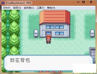 口袋妖怪火红版