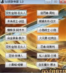 LOL皮肤专家