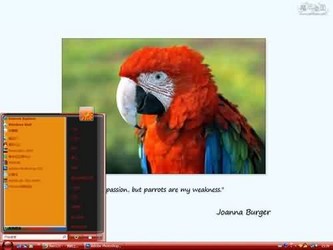  ҵϴ XP/VISTA/WIN7ͨð