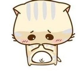 CC猫QQ表情包