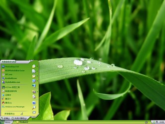  ���µ���ɫҶ������ xp��