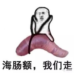 皮皮虾表情包(我们走表情包)