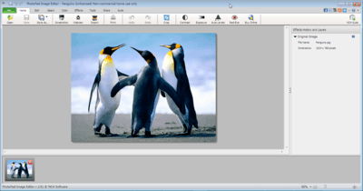 PhotoPad4.18