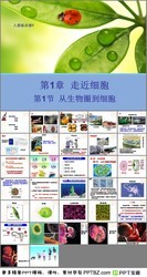 从生物圈到细胞PPT