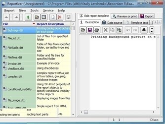 Reportizer6.1.9