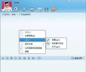 QQ显IP插件(QQext)