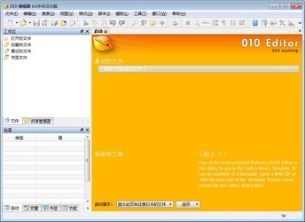 010Editor编辑器