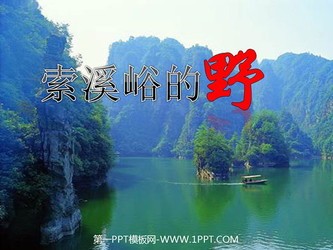 索溪峪的“野”PPT课件