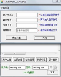 十彩辅助