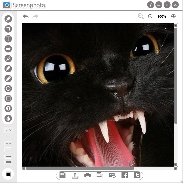 ͼȫ ѽͼ