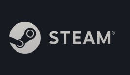 Steam Zol下载